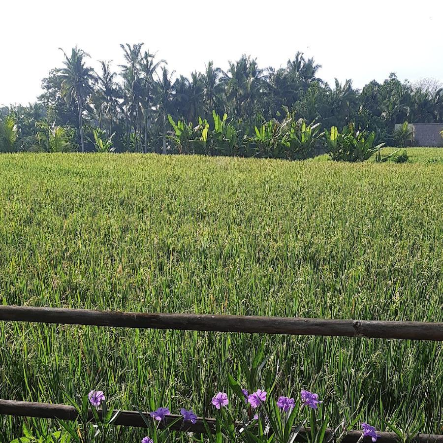 Pb Pondok Gandalangu Garden House Bali Ubud Extérieur photo